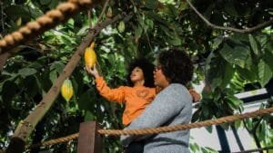 Tour Nugali Pomerode,Prêmio Fritz Müller 2025,turismo ecológico SC,Nugali sustentável