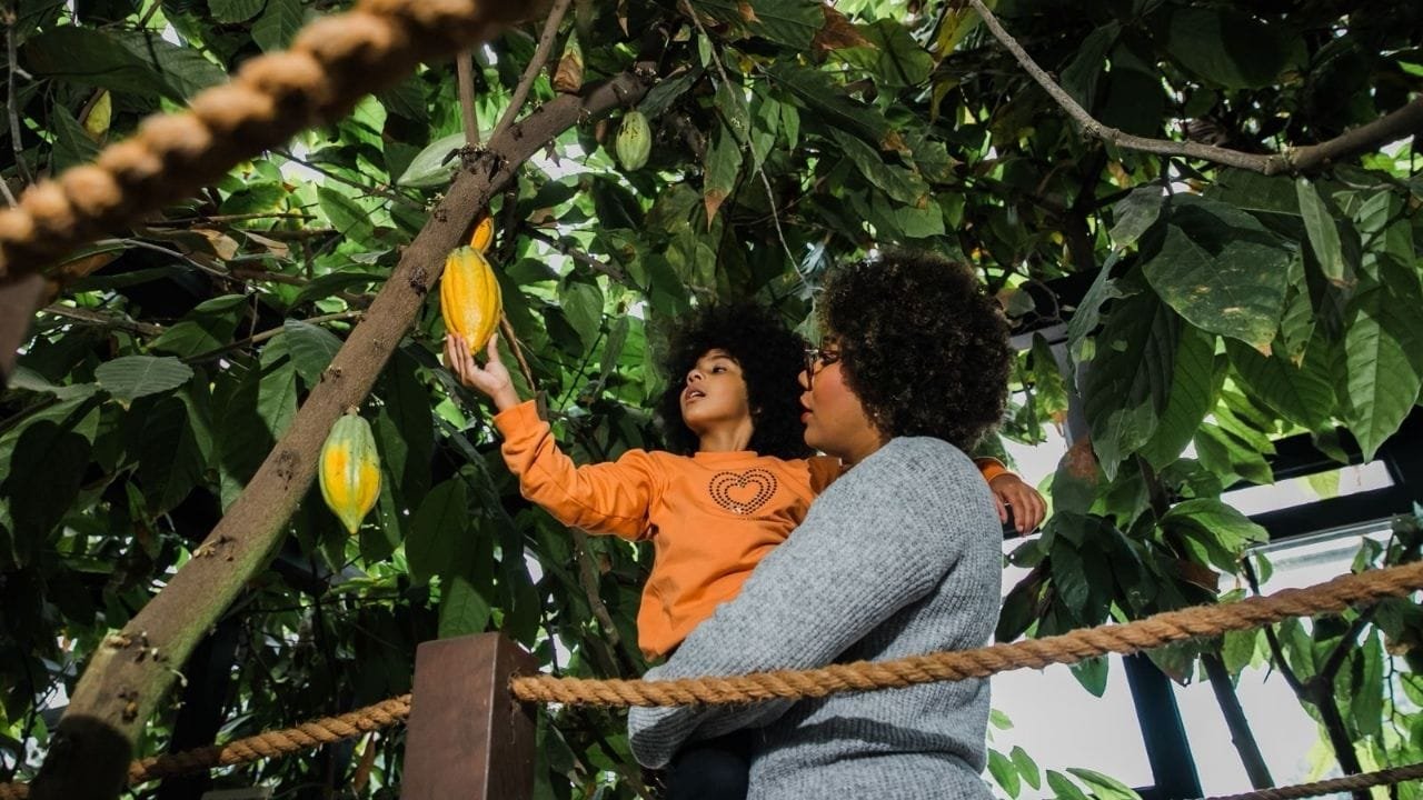 Tour Nugali Pomerode,Prêmio Fritz Müller 2025,turismo ecológico SC,Nugali sustentável