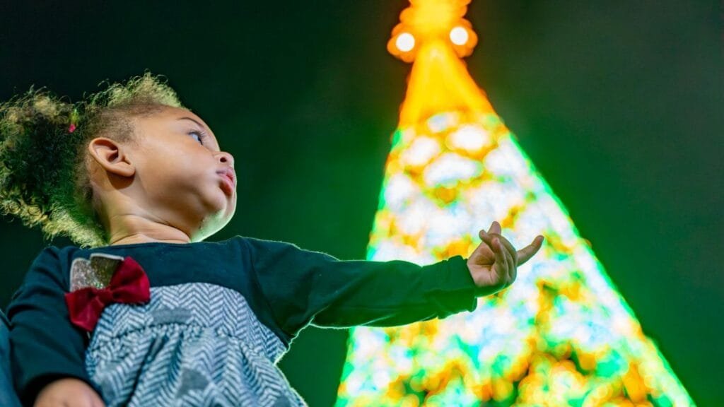 Viva o Natal BC,Natal Balneário Camboriú,programação natalina