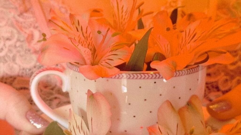 Chá das Cinco,lançamento literário,Regiane Schimidt Coleraus,Biblioteca Machado de Assis