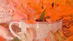 Chá das Cinco,lançamento literário,Regiane Schimidt Coleraus,Biblioteca Machado de Assis