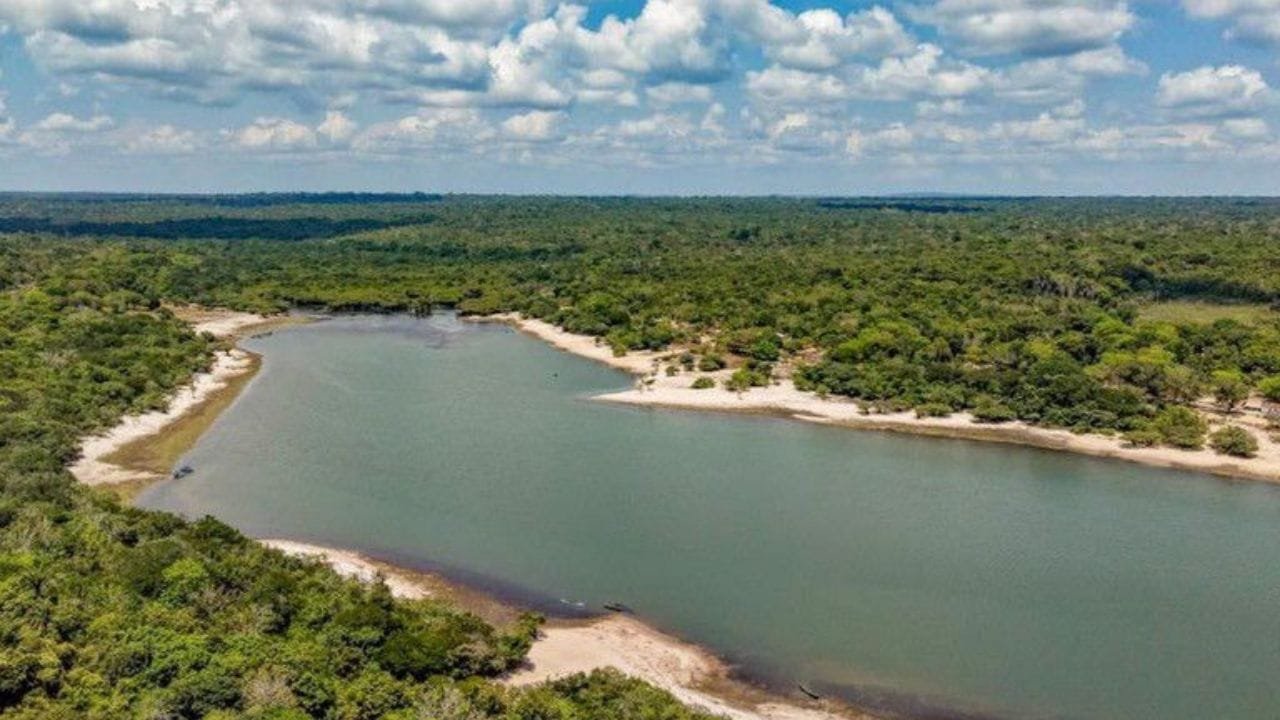 desmatamento Amazônia,Unidades de Conservação,ICMBio,Lula preservação,COP30 Brasil