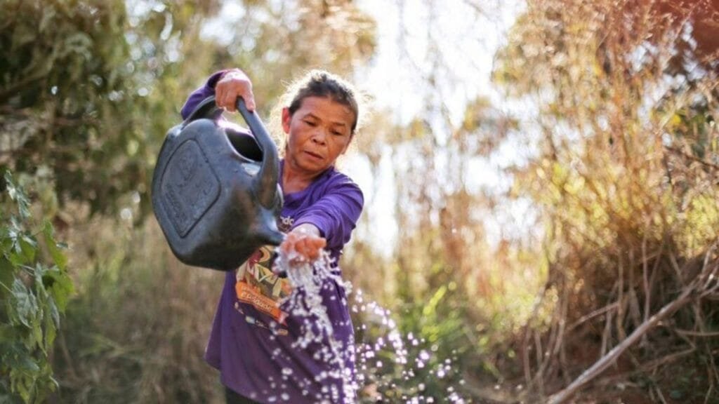 Marco de Sistemas Alimentares,MDS Brasil,políticas climáticas
