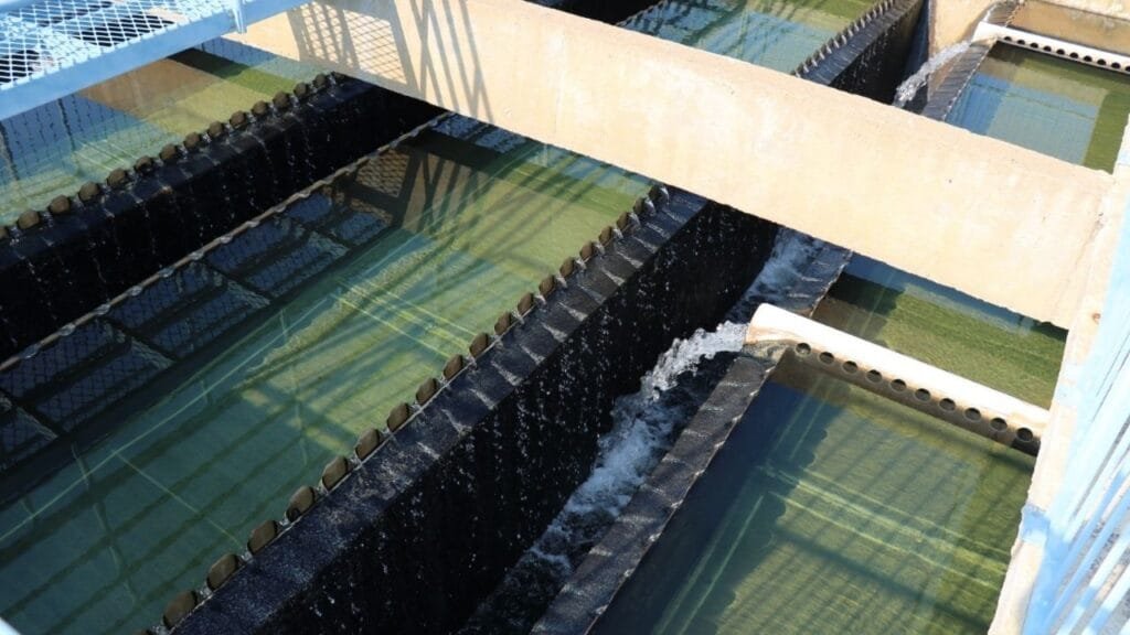 Emasa,abastecimento de água,Balneário Camboriú,consumo consciente,verão