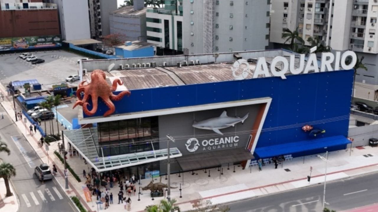 Oceanic Aquarium,aquário de Santa Catarina,Balneário Camboriú turismo,mergulho com tubarões