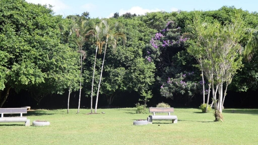 Parque Raimundo Malta,Balneário Camboriú,fechamento por chuva,visitação parque