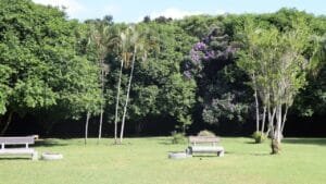 Parque Raimundo Malta,Balneário Camboriú,fechamento por chuva,visitação parque