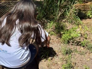 Com-Vida CAIC,projeto ambiental escolar,sustentabilidade na escola