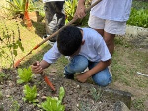 Com-Vida CAIC,projeto ambiental escolar,sustentabilidade na escola