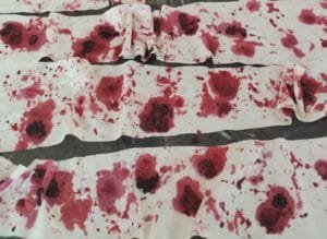 tingimento natural Camboriú,Casa da Costura desfile,moda sustentável