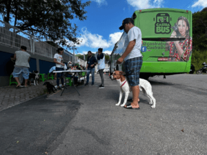 castração gratuita,Castra Pet Balneário Camboriú,mutirão de castração
