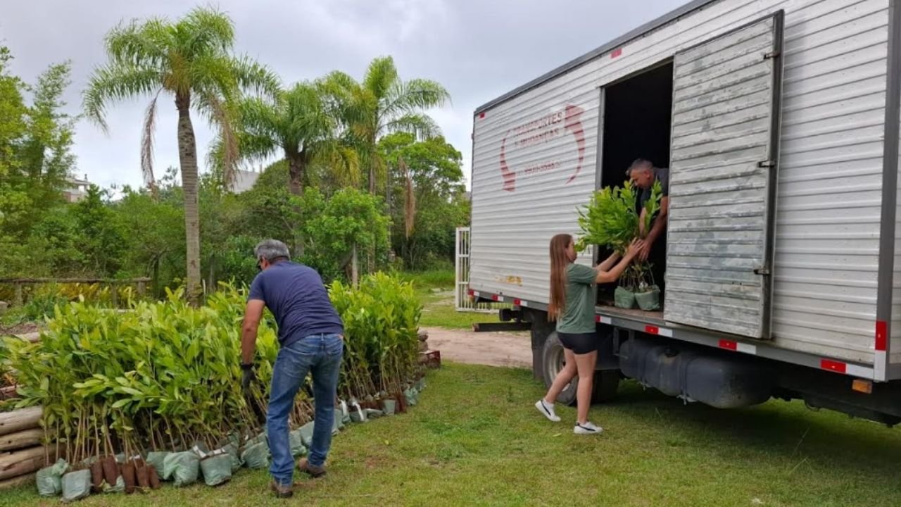 ETE de Bombinhas,saneamento em Bombinhas,doação de mudas nativas,licença ambiental