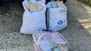 Operação Lei e Ordem,apreensão de drogas,ecstasy em Camboriú,tráfico de drogas