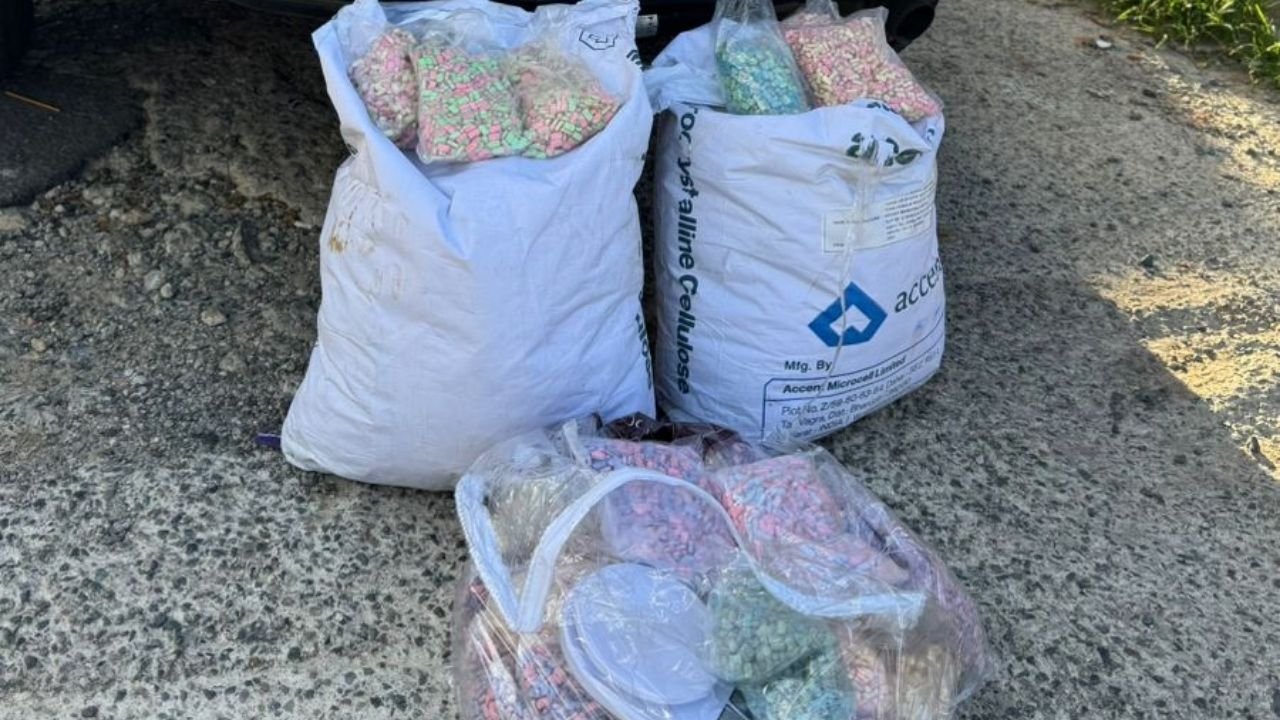 Operação Lei e Ordem,apreensão de drogas,ecstasy em Camboriú,tráfico de drogas