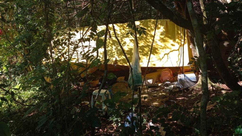 mulher encontrada morta Camboriú,corpo em área de mata Camboriú,Polícia Militar Camboriú,Polícia Civil Santa Catarina,Polícia Científica SC,morte em São Francisco de Assis Camboriú,ocorrência policial Camboriú,morte natural investigação,corpo em decomposição Camboriú,caso policial Santa Catarina,Avenida Santo Amaro Camboriú,mulher em situação de rua Camboriú,investigação de morte SC,perícia Polícia Científica,segurança pública Camboriú