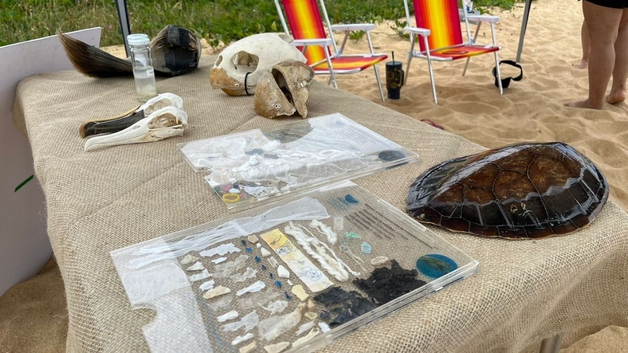 educação ambiental Balneário Camboriú,Programa Bandeira Azul BC,Praia do Estaleirinho,Praia do Estaleiro,Praia de Taquaras,Semam Balneário Camboriú,Prefeitura de Balneário Camboriú meio ambiente,Univali parceria ambiental,atividades ambientais verão BC,preservação da restinga,conscientização nas praias SC,certificação Bandeira Azul Brasil,qualidade da água praias BC,gestão ambiental Balneário Camboriú,sustentabilidade litoral catarinense