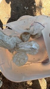 acidente Balneário Camboriú,colisão carro e moto,Polícia Militar SC,Rua 3100,Centro de Balneário Camboriú,BC Trânsito