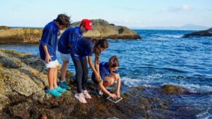 vereadores mirins Balneário Camboriú,trilha ecológica Taquaras,educação ambiental SC,Praia de Taquaras Balneário Camboriú,Programa Bandeira Azul Brasil,sustentabilidade litoral catarinense,SEMAM Balneário Camboriú,Univali meio ambiente,ecossistemas costeiros Brasil,Mata Atlântica preservação,manguezal restinga SC,atividade ambiental estudantes,conscientização ambiental jovens,turismo sustentável Balneário Camboriú,praias certificadas bandeira azul,meio ambiente Santa Catarina,biodiversidade marinha Brasil,trilha educativa litoral SC