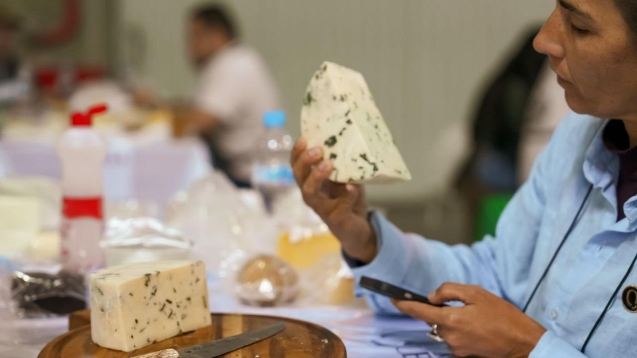 Prêmio Queijo Brasil 2026,queijo artesanal Brasil,concurso queijo artesanal,produção láctea Brasil,Festival Nacional do Queijo Blumenau,queijo artesanal Santa Catarina,agronegócio leite Brasil,mercado de laticínios Brasil,produtores de queijo Brasil,inscrição prêmio queijo Brasil,evento queijo Blumenau 2026,cadeia produtiva do leite,indústria de alimentos Brasil,inovação produção artesanal,queijo brasileiro valorização,melhores queijos do Brasil,prêmio gastronômico Brasil queijo