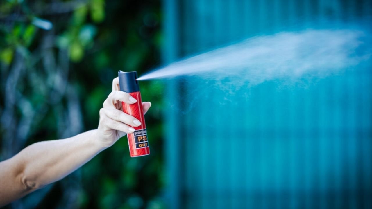 spray de pimenta mulheres SC,projeto lei proteção mulheres Santa Catarina,ALESC segurança mulheres,medida protetiva SC projeto,violência contra mulher Santa Catarina dados,deputados SC projeto segurança feminina,políticas públicas proteção mulher Brasil,projeto spray pimenta mulheres,segurança vítimas violência SC,legislação proteção mulheres Brasil