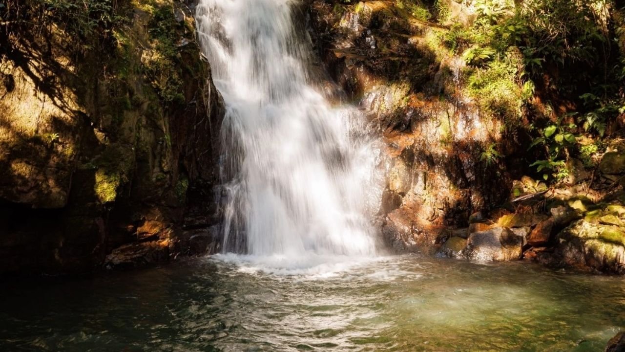 Águas de Camboriú certificado reconhecimento,comitê bacia rio Camboriú participação,gestão recursos hídricos Santa Catarina,saneamento Camboriú SC empresa água,sustentabilidade hídrica Camboriú,preservação ambiental bacias hidrográficas,segurança hídrica Santa Catarina,gestão integrada água Brasil,comitê rio Camboriú entidades membros,Aegea SC atuação ambiental,uso responsável da água SC,políticas ambientais recursos hídricos,planejamento hídrico regional,conservação manancial Camboriú,empresas saneamento participação comitês