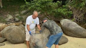 limpeza costões Porto Belo,ação ambiental Porto Belo SC,preservação ambiental Santa Catarina,meio ambiente Porto Belo,turismo sustentável SC,retirada de lixo costões,resíduos sólidos praias SC,Fundação de Meio Ambiente Porto Belo,ação limpeza litoral SC,conservação biodiversidade marinha,sustentabilidade Porto Belo SC,lixo irregular praias Santa Catarina,proteção ambiental SC,limpeza costeira Porto Belo,conscientização ambiental SC