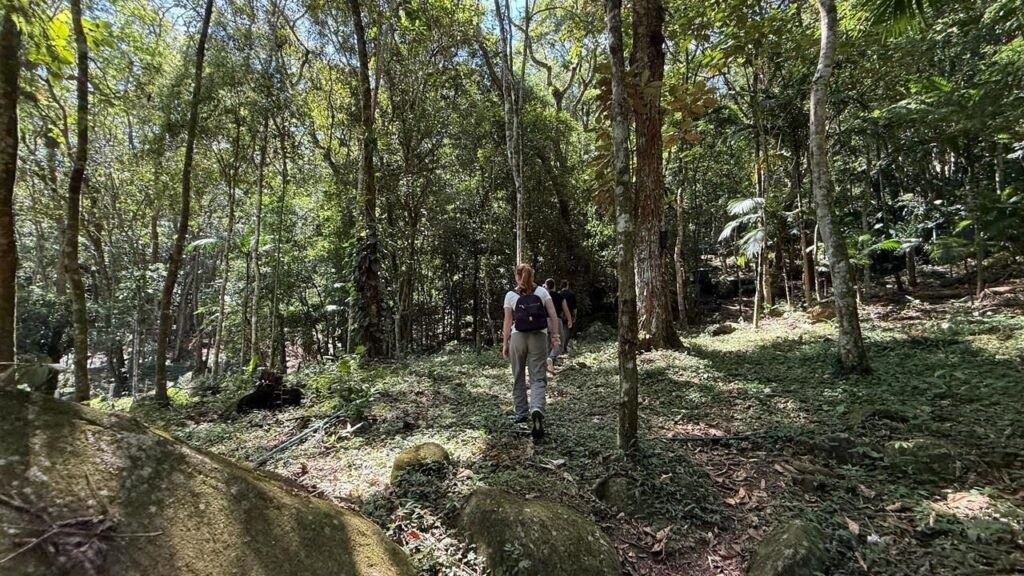 roteiro agroturístico itapema,turismo rural itapema sc,faaci itapema projeto,sebrae santa catarina turismo,agroturismo santa catarina,inscrições roteiro turístico itapema,desenvolvimento econômico itapema,empreendedorismo rural sc,turismo sustentável itapema,mercado turístico regional sc,capacitação sebrae turismo,epagri itapema parceria,pequenos negócios turismo sc,experiências turísticas rurais,inovação turismo santa catarina