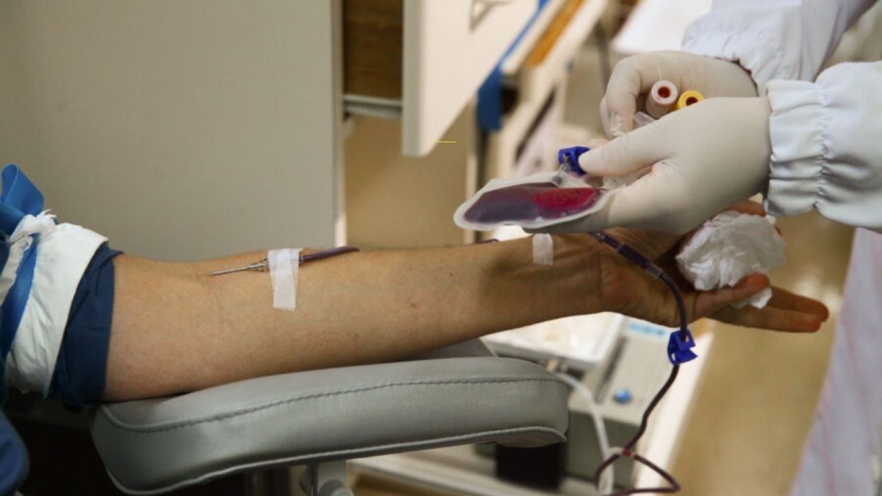 Alesc projetos 2026,Assembleia Legislativa Santa Catarina projetos,incentivos fiscais SC,isenção IPVA doadores SC,ICMS motociclistas Santa Catarina,projetos servidores públicos SC,leis Santa Catarina 2026,economia Santa Catarina políticas públicas,cultura Santa Catarina patrimônio imaterial,Laguna pesca com botos,transparência combustíveis SC,Habilita SC CNH autoescolas,BRDE BID financiamento sul Brasil,educação especial FCEE SC,desenvolvimento econômico Santa Catarina