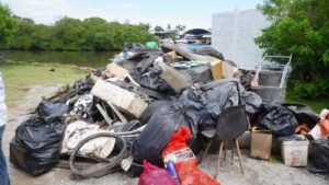 Rio Camboriú limpeza,mutirão ambiental Balneário Camboriú,ação sustentável Camboriú SC,retirada de lixo rios SC,meio ambiente Santa Catarina,sustentabilidade BC e Camboriú,limpeza de afluentes Camboriú,voluntariado ambiental SC,empresas ação ambiental BC,preservação recursos hídricos SC,Rio Camboriú afluentes limpeza,Prefeitura de Balneário Camboriú meio ambiente,Secretaria Meio Ambiente BC,ação ecológica Santa Catarina,desenvolvimento sustentável SC