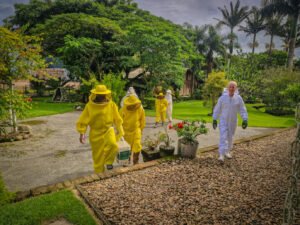 apicultura em Navegantes,curso de manejo de colmeias,produção de mel Santa Catarina,capacitação rural SC,Senar SC curso apicultura,Secretaria de Agricultura Navegantes,manejo de abelhas técnicas,segurança no trabalho apícola,agronegócio Navegantes SC,desenvolvimento rural Santa Catarina,curso apicultura Brasil,produtividade colmeias inverno,alimentação artificial abelhas,treinamento apicultores iniciantes,fortalecimento apicultura municipal