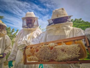 apicultura em Navegantes,curso de manejo de colmeias,produção de mel Santa Catarina,capacitação rural SC,Senar SC curso apicultura,Secretaria de Agricultura Navegantes,manejo de abelhas técnicas,segurança no trabalho apícola,agronegócio Navegantes SC,desenvolvimento rural Santa Catarina,curso apicultura Brasil,produtividade colmeias inverno,alimentação artificial abelhas,treinamento apicultores iniciantes,fortalecimento apicultura municipal