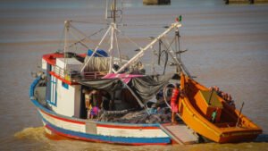 cadastro vistoria embarcações pesca Navegantes,PROPESC inscrição prazo 2026 SC,regularização embarcações pesqueiras Brasil,Ministério da Pesca cadastro vistoria,pesca Navegantes Santa Catarina cadastro,atividade pesqueira regularização SC,pescadores cadastro vistoria prazo maio,SEAP Navegantes atendimento pesca,Colônia de Pescadores Z6 cadastro ajuda,agronegócio pesca SC regularização,frota pesqueira Navegantes legalização,programa nacional pesca PROPESC cadastro,segurança jurídica pesca Brasil,AMFRI pesca Navegantes ações,setor pesqueiro Santa Catarina desenvolvimento