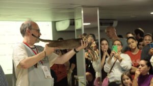 Gatarina Show,Gatarina Show Balneário Camboriú,evento felino Brasil,feira pet Santa Catarina,exposição de gatos Balneário Camboriú,campeonato beleza felina Brasil,ingressos Gatarina Show,evento pet SC,adoção responsável gatos,ONG Viva Bicho Balneário Camboriú,turismo eventos Balneário Camboriú,setor pet Brasil,exposição gatos SC,evento com gatos Brasil,programação Gatarina Show 2026