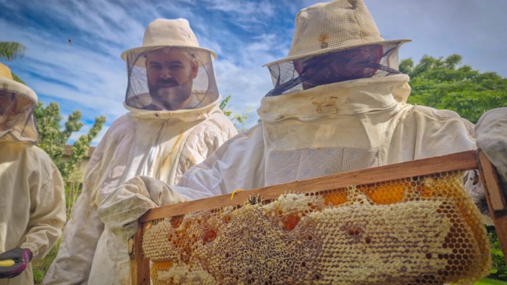 apicultura em Navegantes,curso de manejo de colmeias,produção de mel Santa Catarina,capacitação rural SC,Senar SC curso apicultura,Secretaria de Agricultura Navegantes,manejo de abelhas técnicas,segurança no trabalho apícola,agronegócio Navegantes SC,desenvolvimento rural Santa Catarina,curso apicultura Brasil,produtividade colmeias inverno,alimentação artificial abelhas,treinamento apicultores iniciantes,fortalecimento apicultura municipal