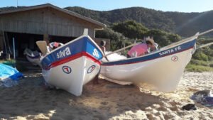 pesca da tainha Balneário Camboriú,safra tainha SC 2026,pesca artesanal Santa Catarina,temporada tainha litoral SC,fiscalização pesca BC,cultura pesqueira Balneário Camboriú,apoio pescadores SC,campanha respeito pescador,meio ambiente Balneário Camboriú,tradição pesca tainha SC,economia artesanal SC,praias Balneário Camboriú pesca,legislação pesca SC,safra tainha Brasil sul,pesca sustentável Santa Catarina