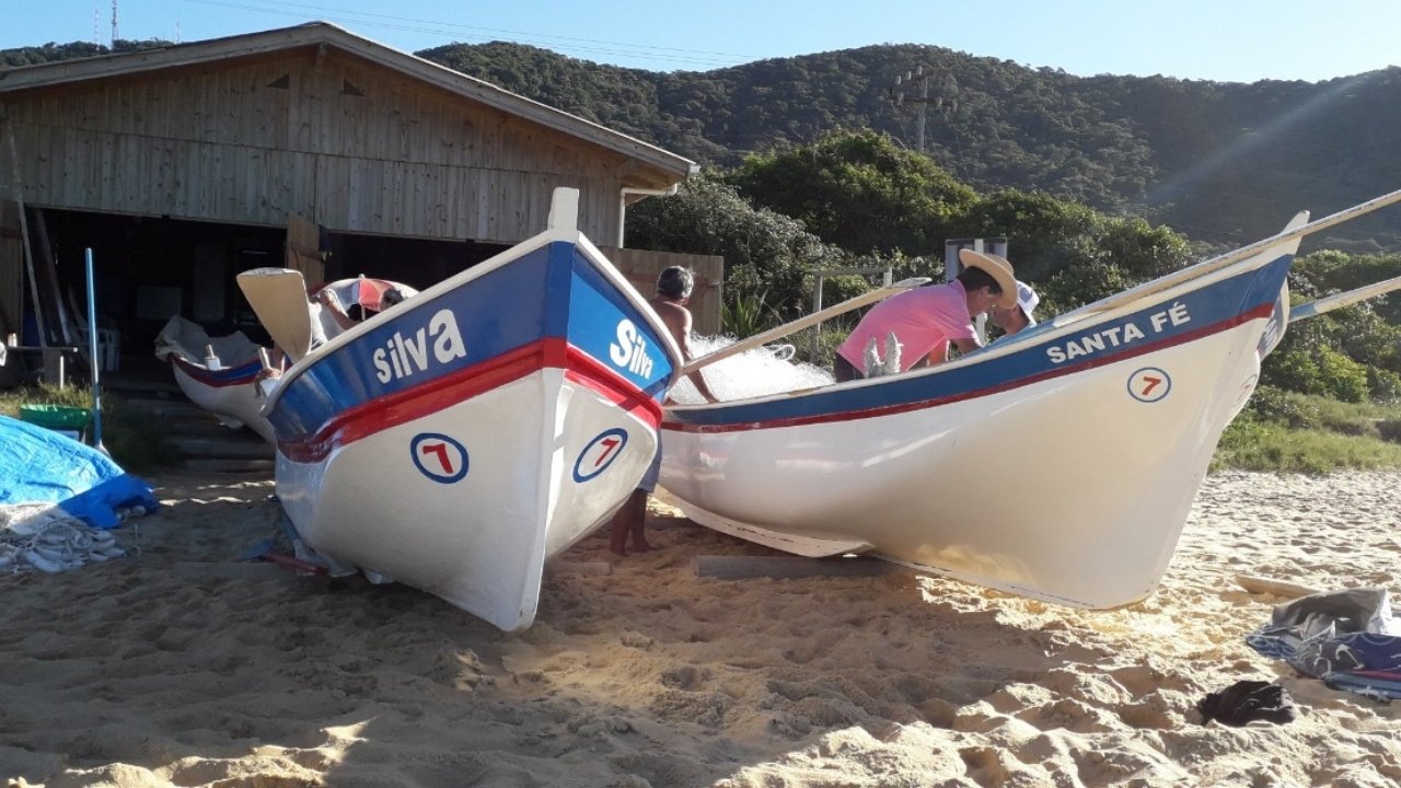 pesca da tainha Balneário Camboriú,safra tainha SC 2026,pesca artesanal Santa Catarina,temporada tainha litoral SC,fiscalização pesca BC,cultura pesqueira Balneário Camboriú,apoio pescadores SC,campanha respeito pescador,meio ambiente Balneário Camboriú,tradição pesca tainha SC,economia artesanal SC,praias Balneário Camboriú pesca,legislação pesca SC,safra tainha Brasil sul,pesca sustentável Santa Catarina