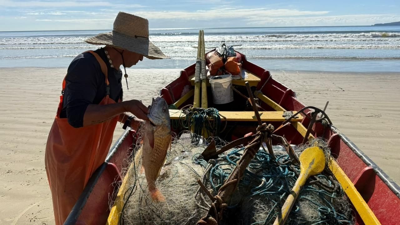 pesca da tainha Itapema,abertura pesca tainha SC,evento Itapema maio,cultura pesqueira Santa Catarina,turismo Itapema eventos,safra da tainha litoral SC,tradição pesca artesanal SC,programação Itapema hoje,evento cultural Itapema 2026,festa da tainha SC,atividades Itapema litoral,economia pesca SC,eventos gratuitos Itapema,litoral catarinense turismo,celebração cultural Itapema