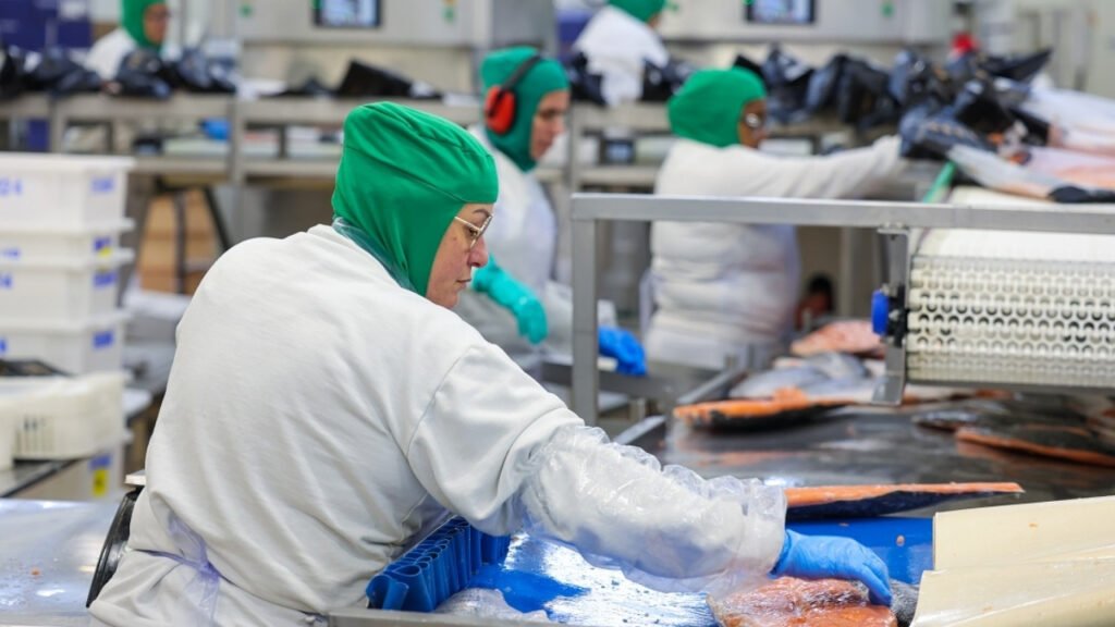 salário mínimo Santa Catarina 2026,piso regional SC valores atualizados,economia Santa Catarina salário mínimo,salário mínimo Brasil comparação estados,reajuste salário SC trabalhadores,Dieese dados salário mínimo Brasil,renda trabalhadores Santa Catarina,política salarial SC 2026,impacto econômico salário mínimo,setores beneficiados piso regional SC,salário mínimo regional Brasil estados,aumento salário mínimo SC percentual,trabalhadores catarinenses renda,legislação salário mínimo SC,economia regional Brasil salários