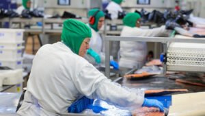 salário mínimo Santa Catarina 2026,piso regional SC valores atualizados,economia Santa Catarina salário mínimo,salário mínimo Brasil comparação estados,reajuste salário SC trabalhadores,Dieese dados salário mínimo Brasil,renda trabalhadores Santa Catarina,política salarial SC 2026,impacto econômico salário mínimo,setores beneficiados piso regional SC,salário mínimo regional Brasil estados,aumento salário mínimo SC percentual,trabalhadores catarinenses renda,legislação salário mínimo SC,economia regional Brasil salários