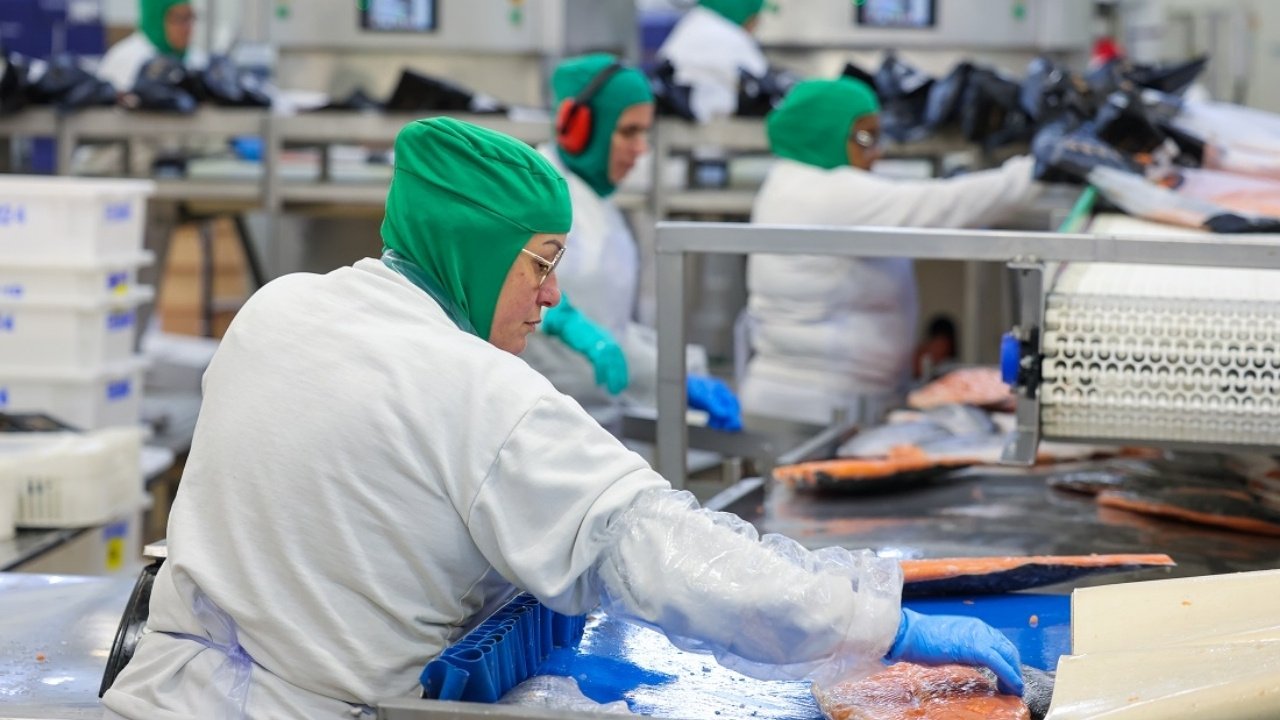 salário mínimo Santa Catarina 2026,piso regional SC valores atualizados,economia Santa Catarina salário mínimo,salário mínimo Brasil comparação estados,reajuste salário SC trabalhadores,Dieese dados salário mínimo Brasil,renda trabalhadores Santa Catarina,política salarial SC 2026,impacto econômico salário mínimo,setores beneficiados piso regional SC,salário mínimo regional Brasil estados,aumento salário mínimo SC percentual,trabalhadores catarinenses renda,legislação salário mínimo SC,economia regional Brasil salários