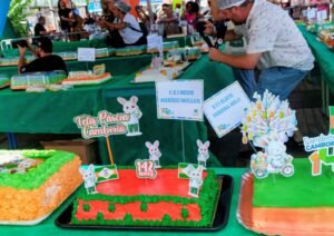 Camboriú 142 anos,aniversário Camboriú SC,corte de bolo Camboriú,evento Camboriú comunidade,Igreja Matriz Divino Espírito Santo Camboriú,celebração cidade SC,tradição Camboriú aniversário,evento público Camboriú,cultura local Santa Catarina,participação popular Camboriú,festa aniversário cidade Brasil,escolas Camboriú evento,comemoração municipal SC,desenvolvimento Camboriú,história Camboriú SC