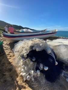 pesca da tainha Balneário Camboriú,safra tainha SC 2026,pesca artesanal Santa Catarina,temporada tainha litoral SC,fiscalização pesca BC,cultura pesqueira Balneário Camboriú,apoio pescadores SC,campanha respeito pescador,meio ambiente Balneário Camboriú,tradição pesca tainha SC,economia artesanal SC,praias Balneário Camboriú pesca,legislação pesca SC,safra tainha Brasil sul,pesca sustentável Santa Catarina