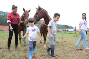 Leão Amigo Navegantes imposto de renda,destinação IR fundos municipais SC,campanha Acin Seides Navegantes,Fundo da Criança e Adolescente FIA Navegantes,Fundo do Idoso Navegantes SC,como destinar imposto de renda projetos sociais,desenvolvimento social Navegantes SC,projetos sociais Navegantes imposto renda,declaração completa IR destinação SC,contadores Navegantes campanha IR,assistência social Navegantes projetos,investimento social imposto renda Brasil,incentivo fiscal doação fundos municipais,cidadania e imposto de renda Navegantes,campanha social SC imposto renda