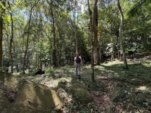 Roteiro Agroturístico de Itapema,Itapema,Santa Catarina,turismo rural Itapema,agroturismo em Itapema,FAACI,Sebrae Santa Catarina,turismo sustentável,roteiro turístico Itapema,empreendimentos rurais,turismo no litoral catarinense,desenvolvimento regional Santa Catarina,Epagri,Secretaria de Turismo de Itapema,empreendedorismo rural,turismo ecológico,turismo de experiência,turismo rural Santa Catarina,projeto turístico Itapema 2026,economia local Itapema