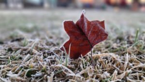 frio em Santa Catarina,massa de ar polar SC,temperaturas negativas em Santa Catarina,geada em Santa Catarina,previsão do tempo SC,frio intenso no Sul do Brasil,Defesa Civil de Santa Catarina,mar agitado no litoral catarinense,ondas de 3 metros SC,ciclone extratropical,São Joaquim frio,Bom Jardim da Serra geada,temperaturas em Itajaí,alerta de frio em Santa Catarina,previsão meteorológica SC,frio no Planalto Sul,risco de alagamentos costeiros,inverno em Santa Catarina