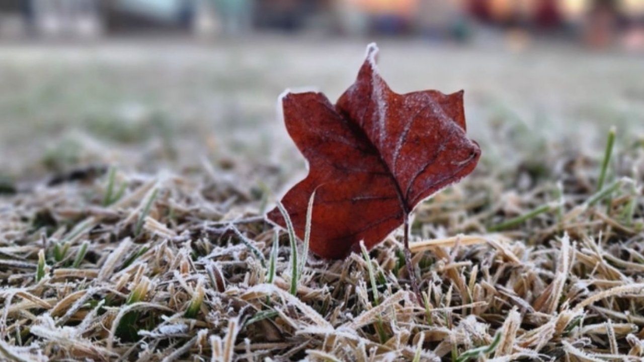 frio em Santa Catarina,massa de ar polar SC,temperaturas negativas em Santa Catarina,geada em Santa Catarina,previsão do tempo SC,frio intenso no Sul do Brasil,Defesa Civil de Santa Catarina,mar agitado no litoral catarinense,ondas de 3 metros SC,ciclone extratropical,São Joaquim frio,Bom Jardim da Serra geada,temperaturas em Itajaí,alerta de frio em Santa Catarina,previsão meteorológica SC,frio no Planalto Sul,risco de alagamentos costeiros,inverno em Santa Catarina