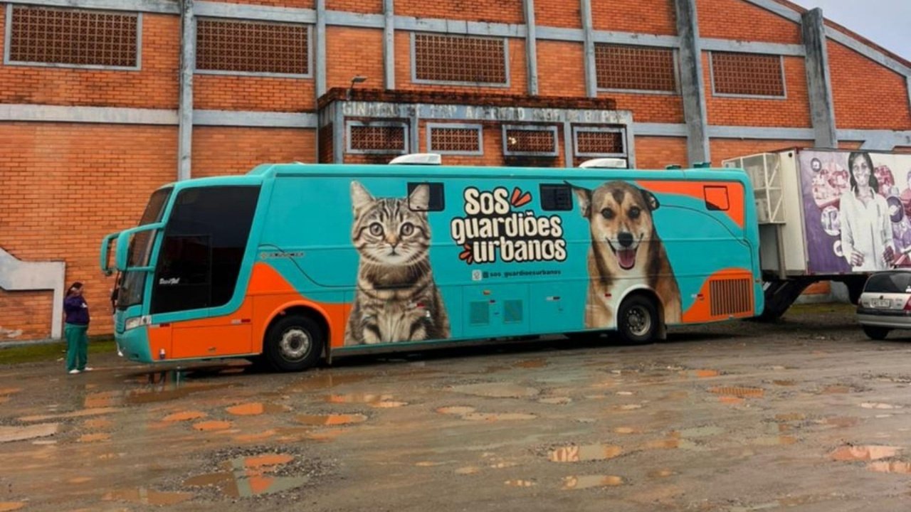 mutirão de castração em Camboriú,castração animal gratuita,Prefeitura de Camboriú,FUCAM Camboriú,bem-estar animal em Santa Catarina,controle populacional animal,saúde pública animal,campanha de castração gratuita,SOS Guardiões Urbanos,castração de cães e gatos,mutirão animal em SC,proteção animal em Camboriú,cadastro para castração animal,castração gratuita para baixa renda,castração animal Monte Alegre,campanha de bem-estar animal