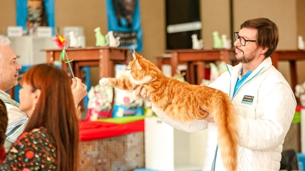 Balneário Camboriú,Gatarina Show 2026,felinofilia,evento pet em Santa Catarina,campeonato de beleza felina,Federação Felina Brasileira,Federação Internacional Felina,turismo de eventos,bem-estar animal,feira pet,adoção responsável,Viva Bicho,gatos de raça,exposição felina,eventos em Balneário Camboriú,setor pet,cultura pet em SC,campeonato felino,turismo em Santa Catarina,eventos especializados
