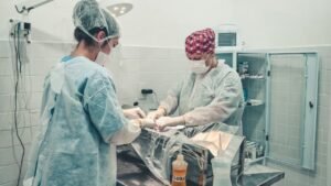 DABA Itapema,atendimento veterinário gratuito,CadÚnico Itapema,Departamento de Bem-Estar Animal,castração gratuita Itapema,vacinação animal Itapema,microchipagem Itapema,CRAS Itapema,saúde animal em Itapema,serviço veterinário gratuito,programas sociais Itapema,atendimento para pets Itapema,cadastro único Itapema,assistência social Santa Catarina,bem-estar animal Santa Catarina,consulta veterinária gratuita,castração para famílias de baixa renda,cadastro no CRAS Itapema,serviços públicos para animais,proteção animal em Itapema