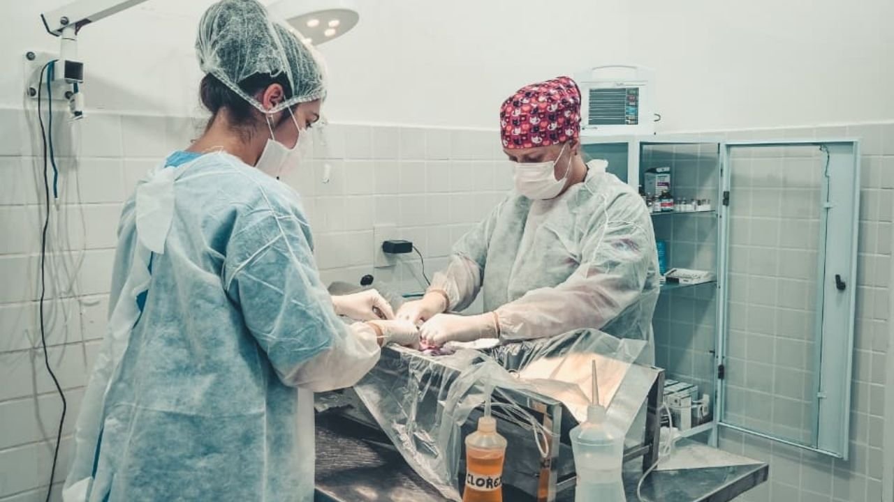 DABA Itapema,atendimento veterinário gratuito,CadÚnico Itapema,Departamento de Bem-Estar Animal,castração gratuita Itapema,vacinação animal Itapema,microchipagem Itapema,CRAS Itapema,saúde animal em Itapema,serviço veterinário gratuito,programas sociais Itapema,atendimento para pets Itapema,cadastro único Itapema,assistência social Santa Catarina,bem-estar animal Santa Catarina,consulta veterinária gratuita,castração para famílias de baixa renda,cadastro no CRAS Itapema,serviços públicos para animais,proteção animal em Itapema